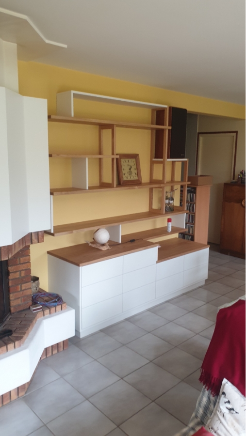 Atelier Penn Koad Menuisier Vannes Bibliotheque 01 2
